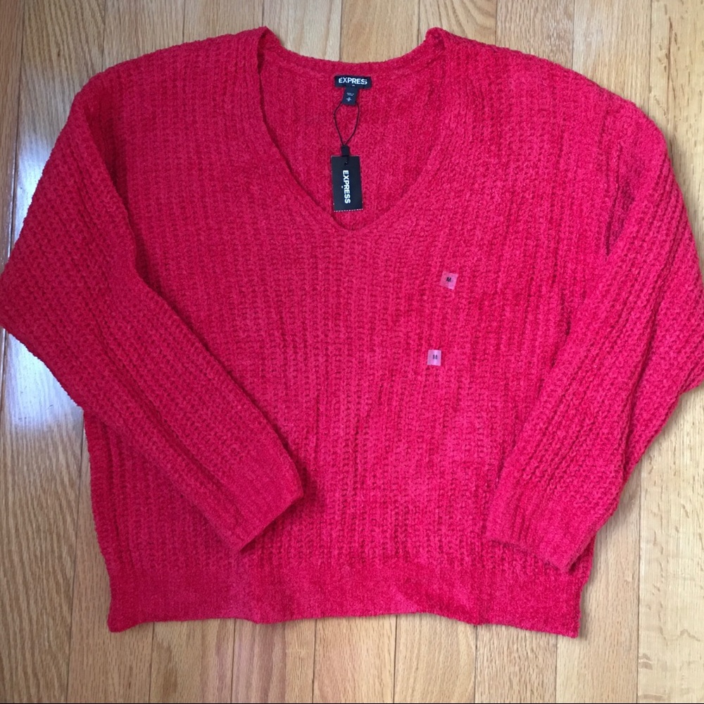 NWT Express Medium chunky knit V-neck sweater